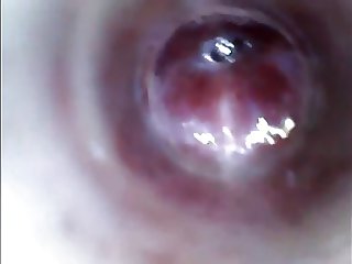 look inside cock endoscope with tube introducing cam deep